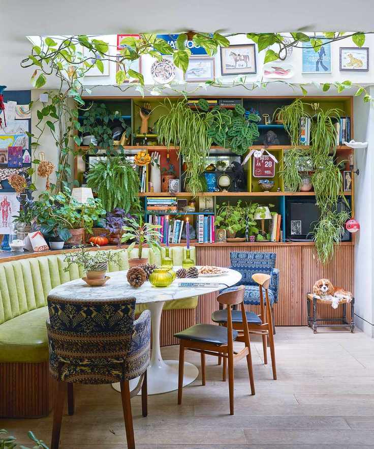 Stylish basement kitchen adorned with plants and art