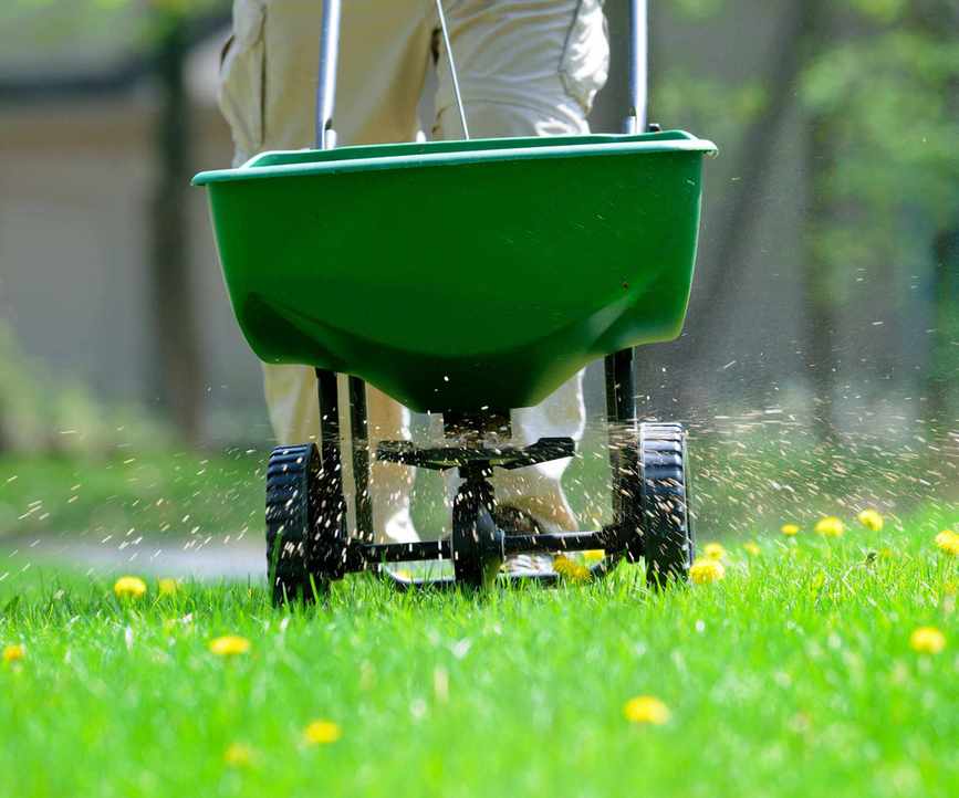 Using a feeding machine to fertilize a lawn