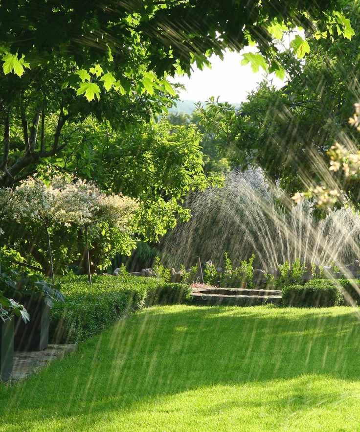 A backyard with sprinklers spraying water over a green lawn, with green trees and hedges surrounding the border