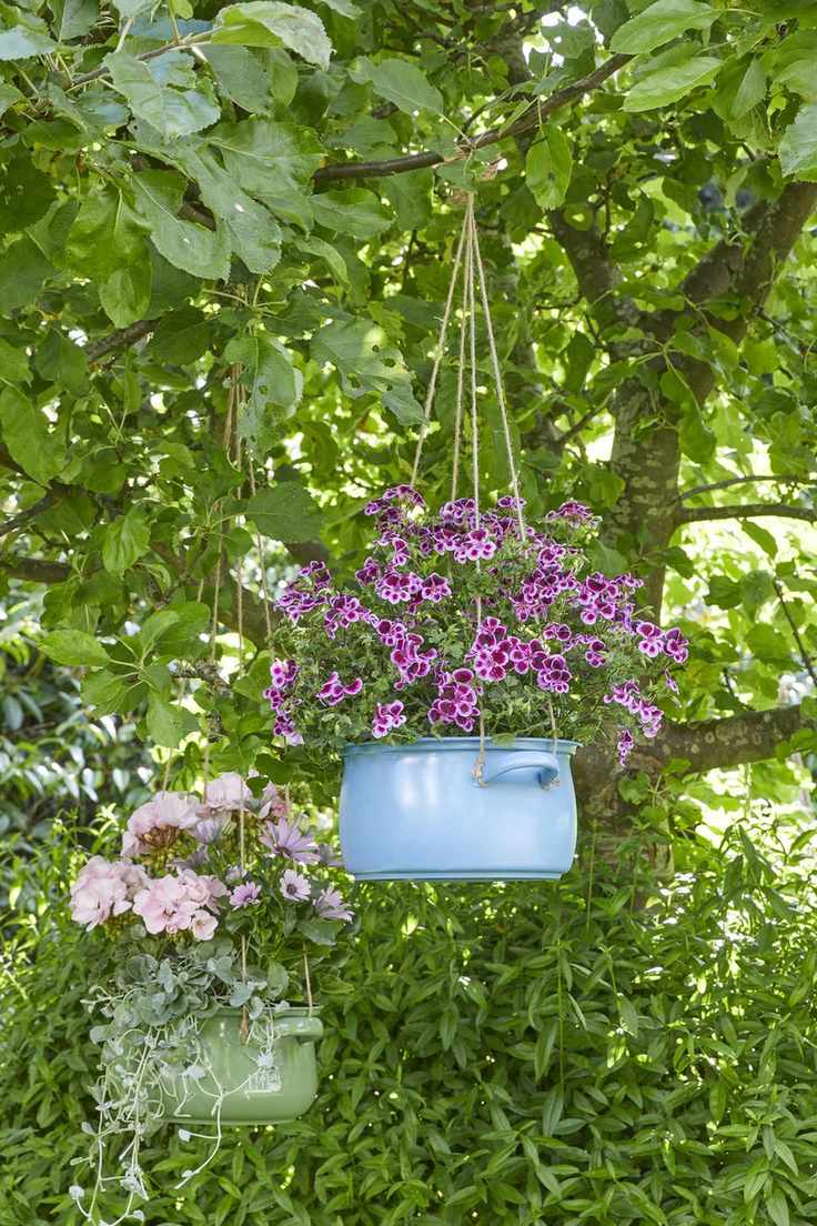 Geraniums planted in upcycled casserole hanging baskets