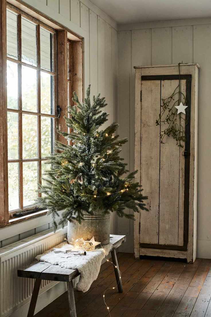 Mini Christmas tree in a rustic pot