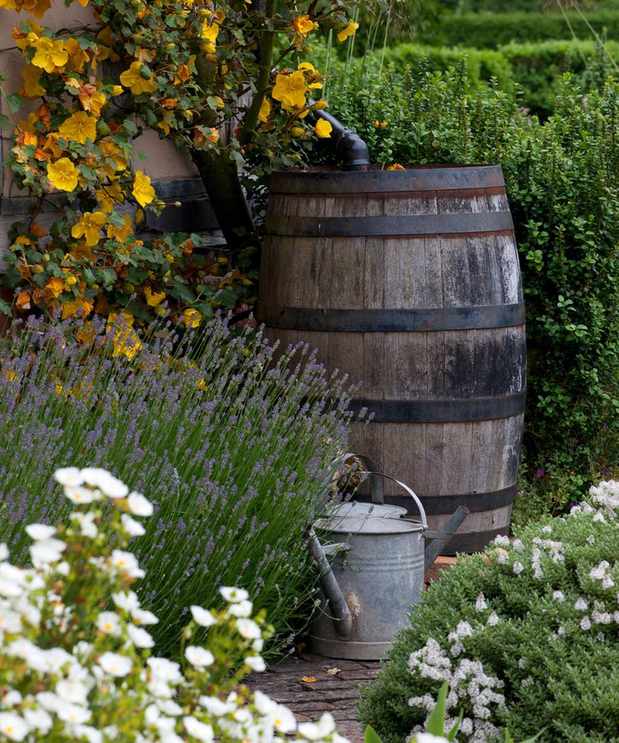 water butt used to collect rainwater for a sustainable garden