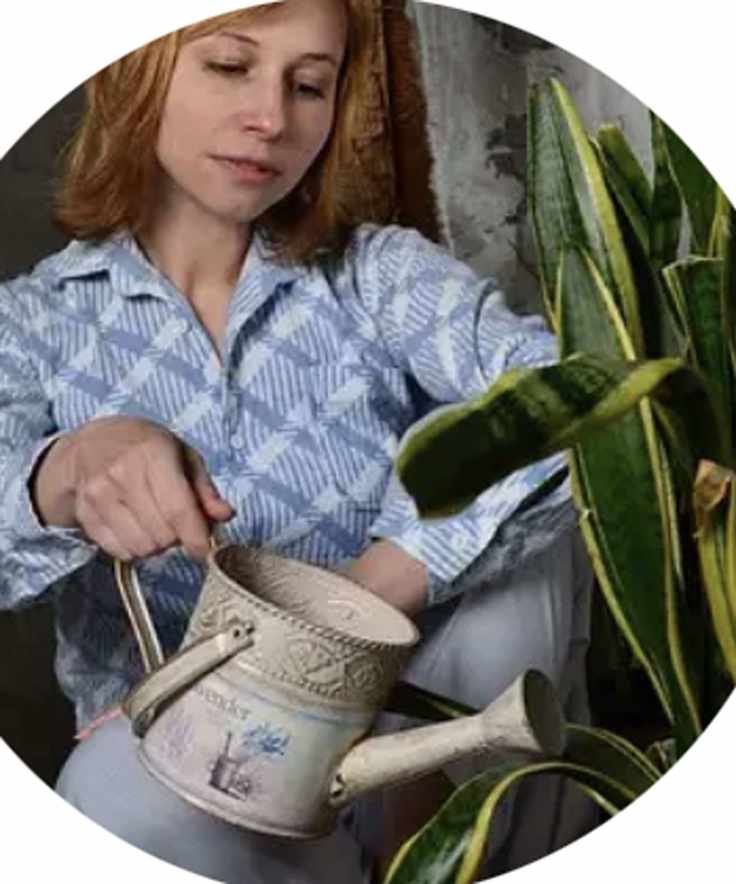 Diana Cox