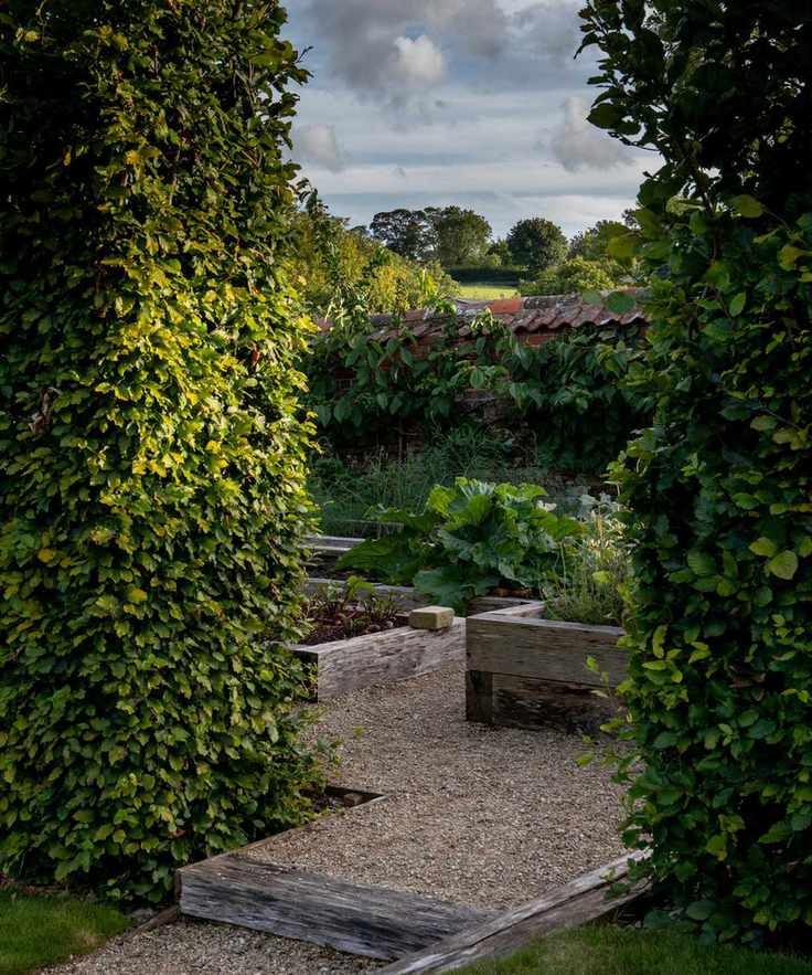 tall hedges screening entrance to vegetable garden