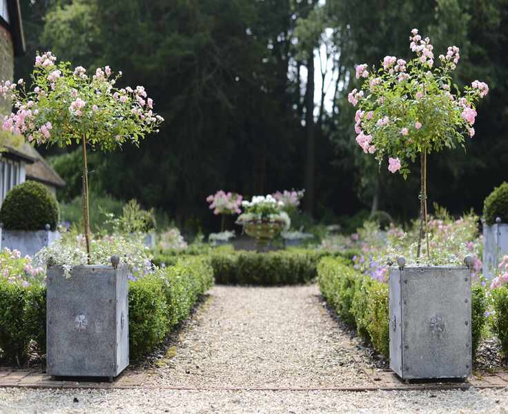 Planters either side of gravel walkway