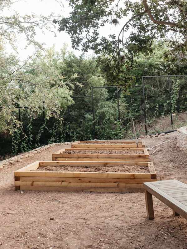 backyard garden transformation - garden bed placement