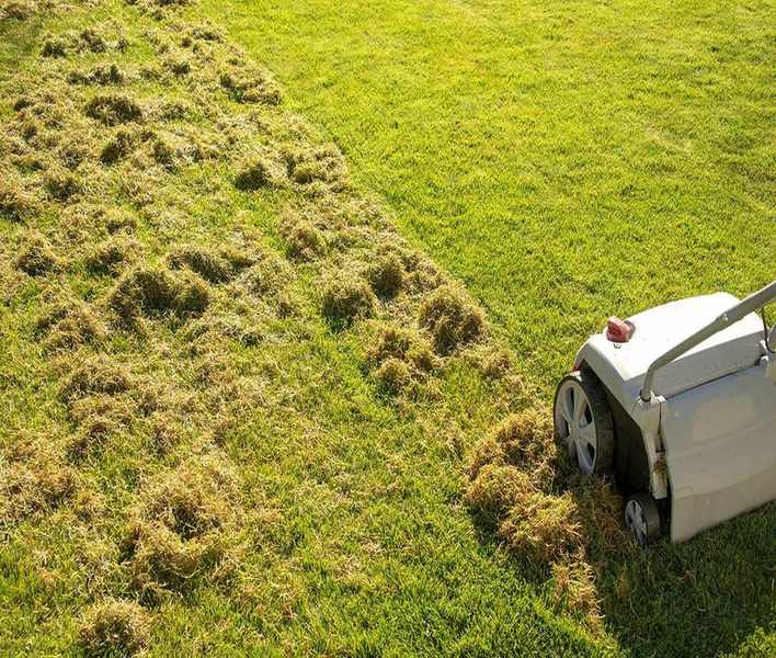 Scarifying vs. Dethatching: Understanding the Best Lawn Care Method