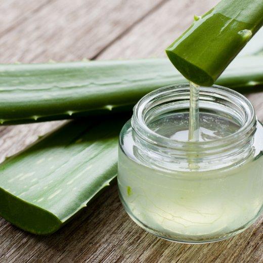 Aloe Vera Ingredient in Body Washes for Skin Care Aloe Vera Ingredient in Body Washes for Skin Care