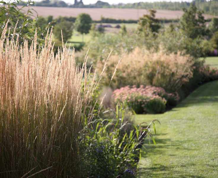 Rock garden ideas with ornamental grasses beside a lawn with rolling fields in the background.