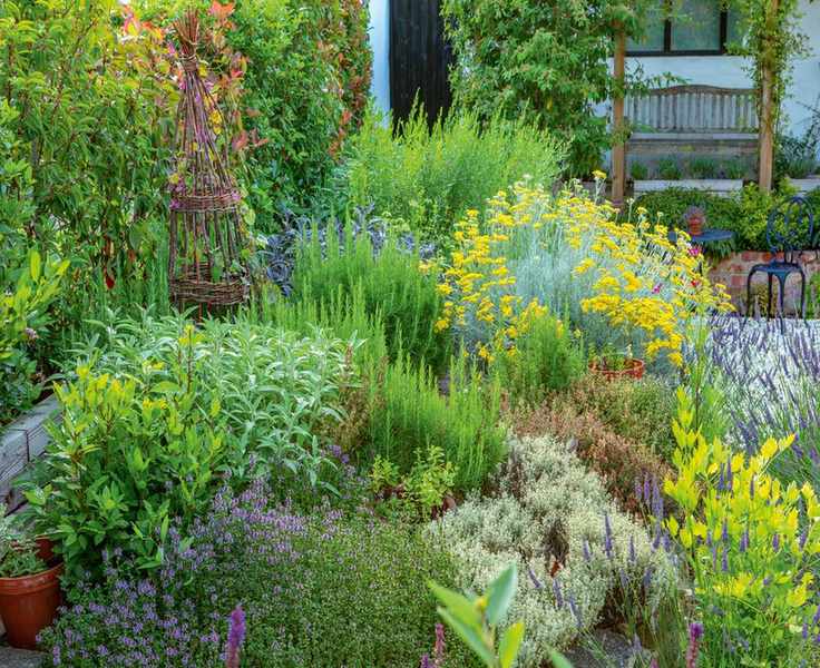 Herb gardening mistakes