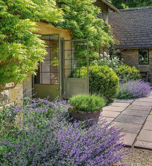Mediterranean garden with lavender