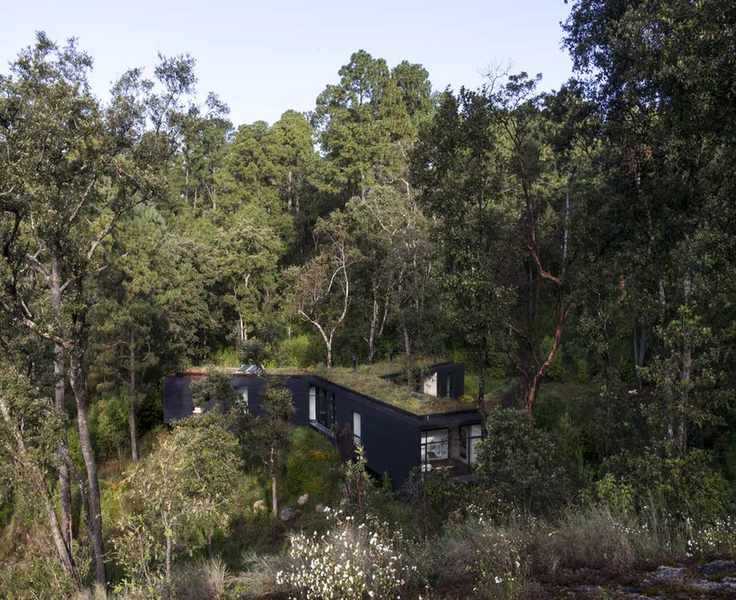 green home in forest