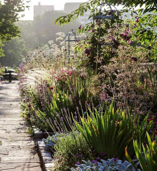 Sensory garden ideas with fragrant flowers