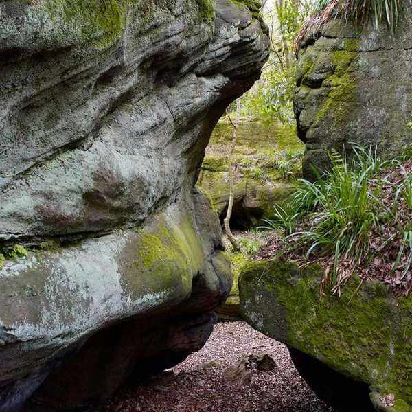 Rock garden ideas featuring large moss covered boulders.