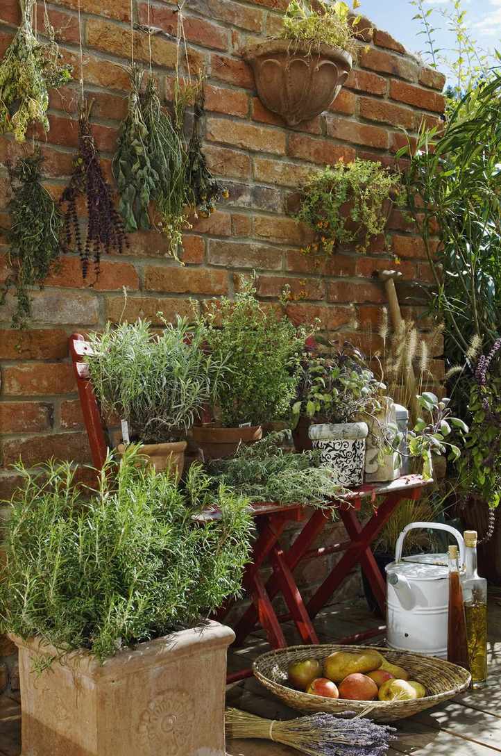 herb garden ideas GettyImages-166276247