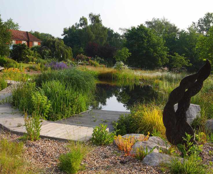 natural swimming pool surrounded by planting and wooden deck path in a country garden