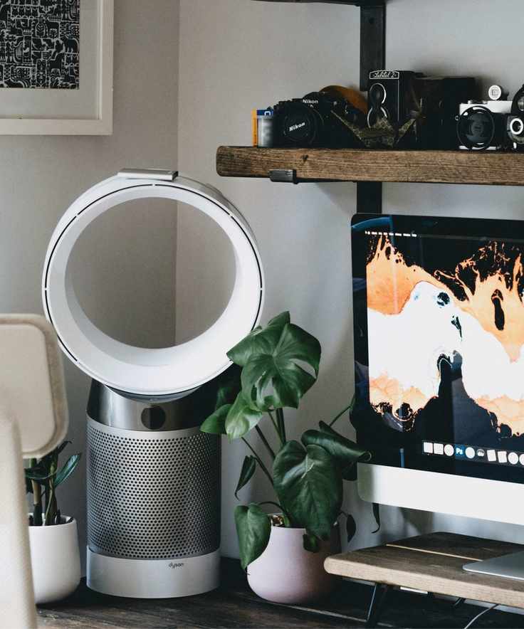 A bladeless dyson fan besides a mac on a wooden desk, surrounded by small green houseplants