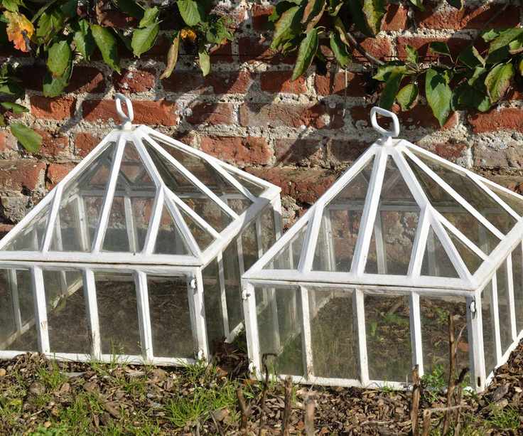 warming the soil with two glass cloches