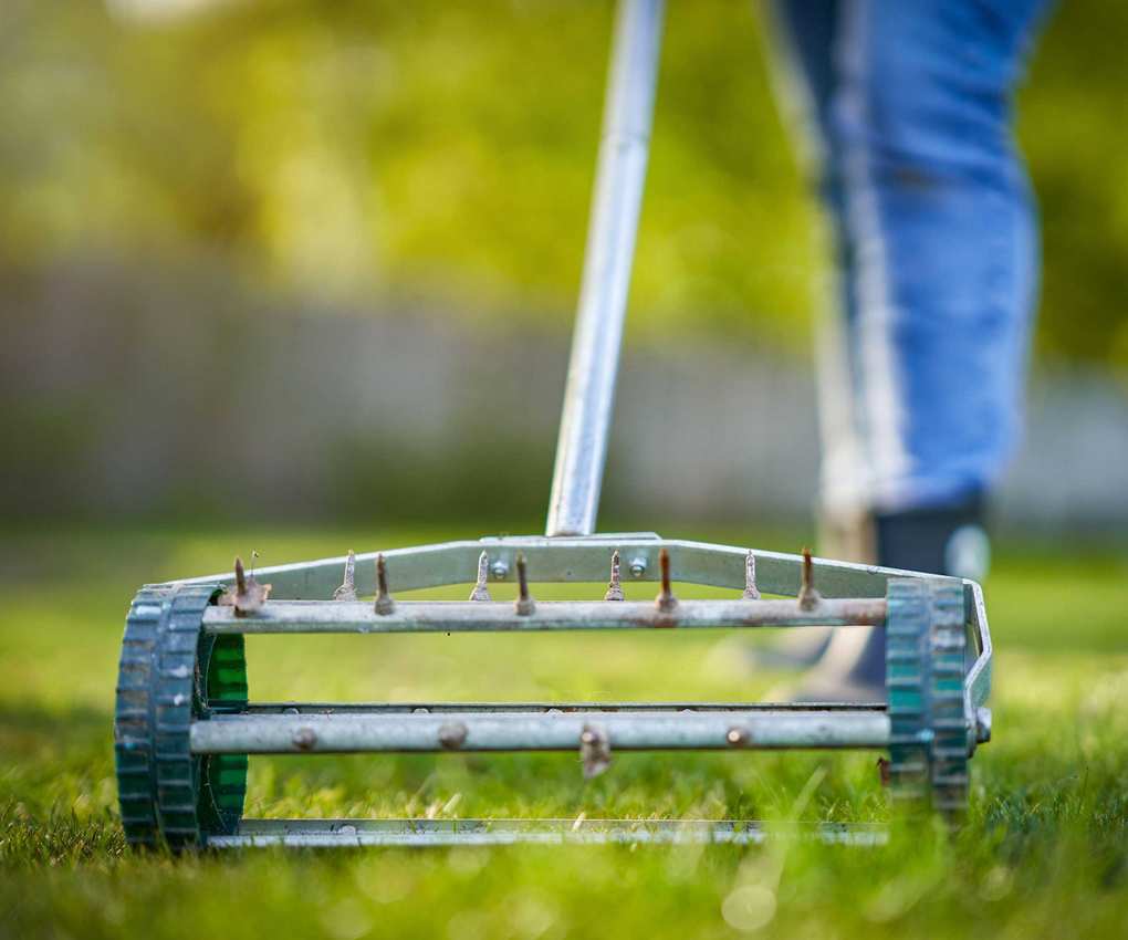aerating a lawn