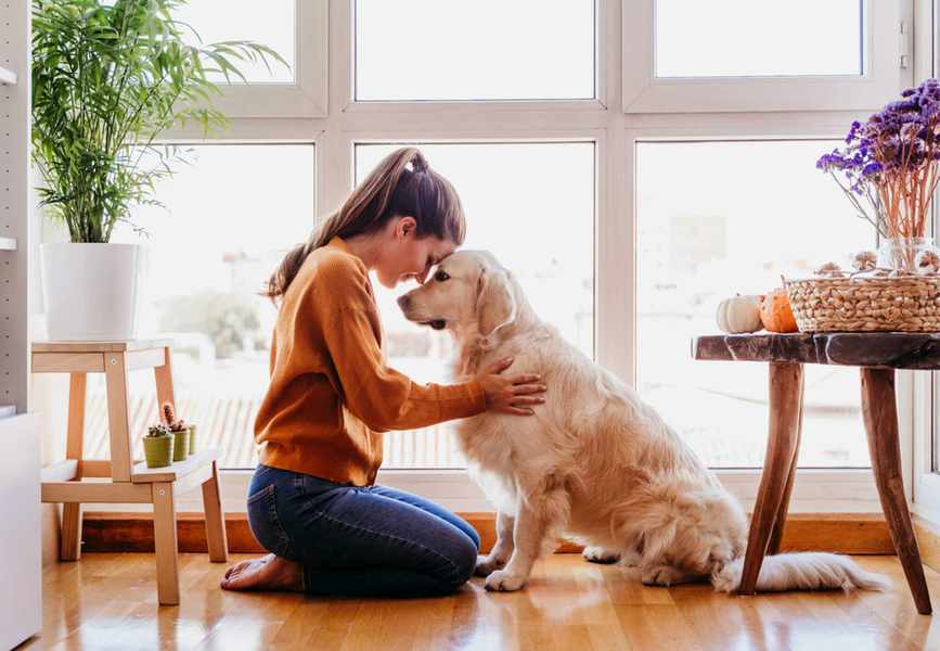 Why Dogs Are the Best Support: Boosting Mental Health with Pets