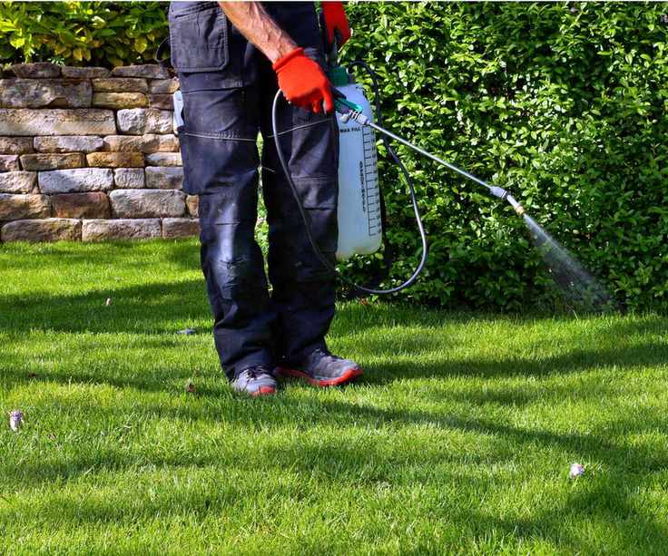 Lawn pest control