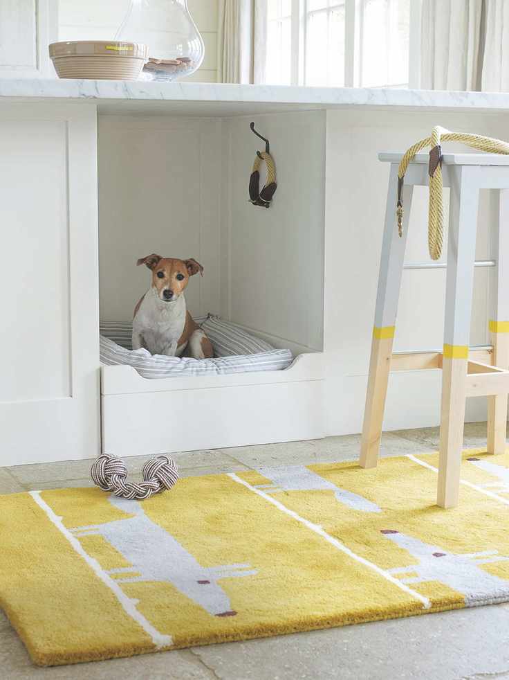 living with pets