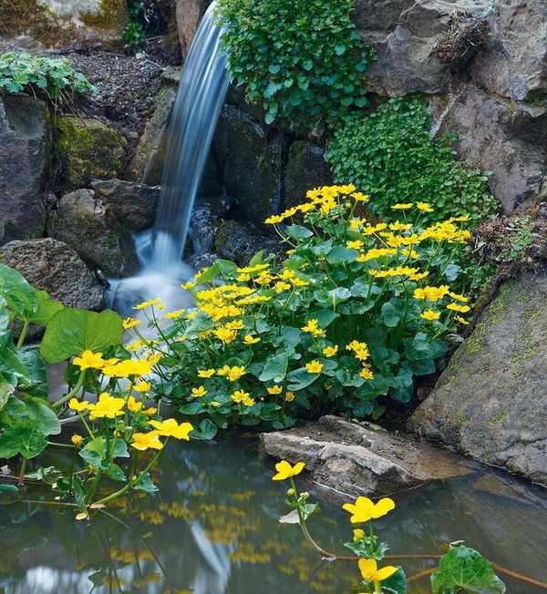A small waterfall in a rockery garden idea with bright yellow flowers.