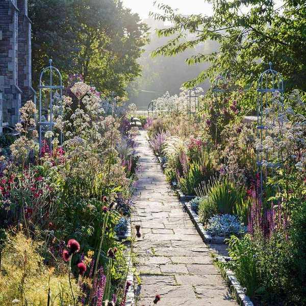 Rewilding trend