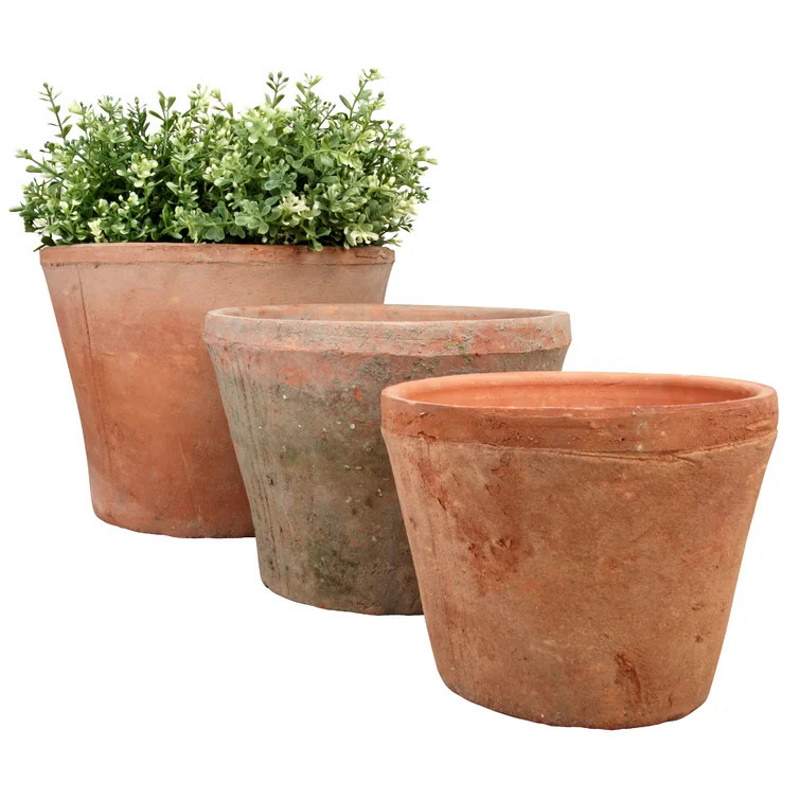 Wayfair terracotta planters