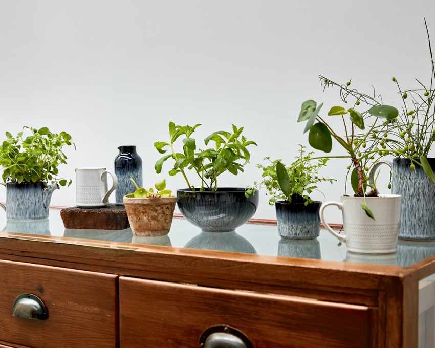 Mindful home