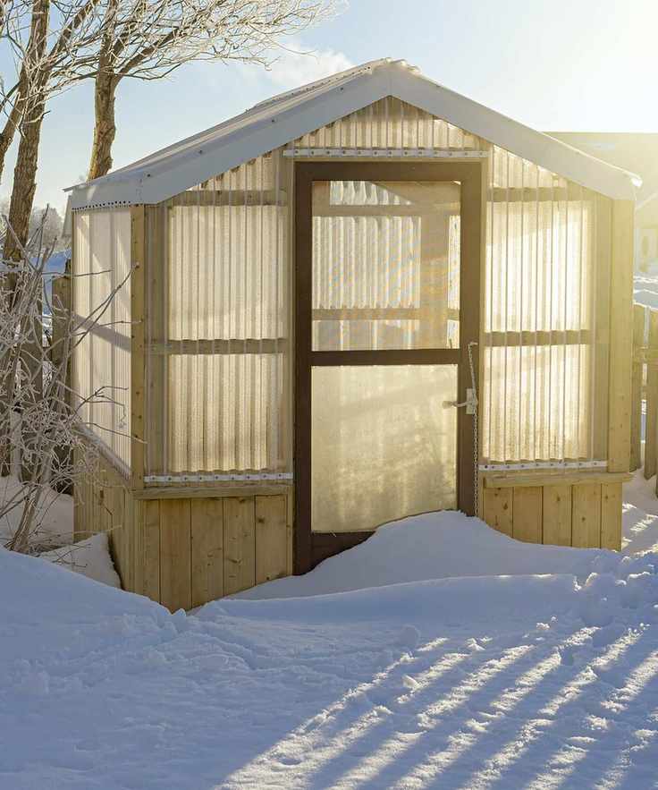 Sunlight shining through a frosty backyard greenhouse.