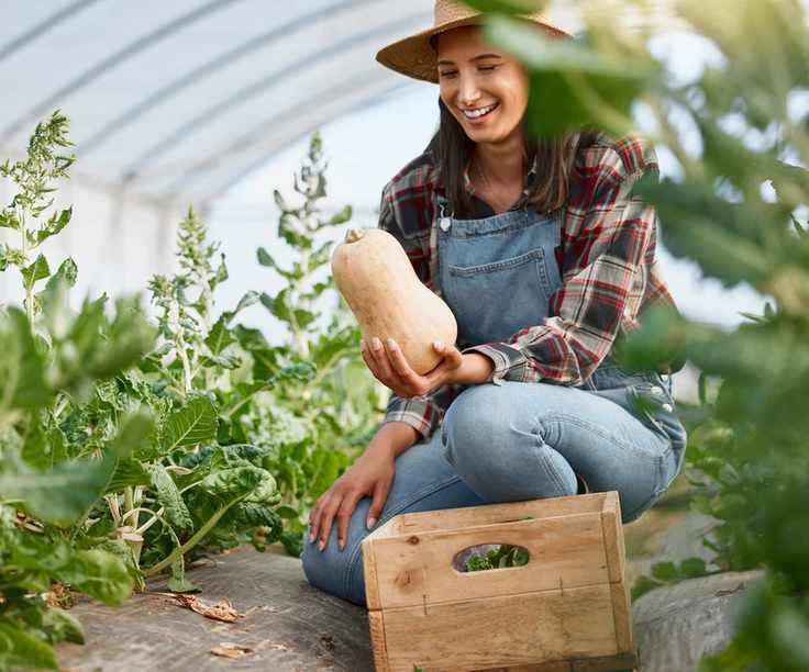 A young farmer holding a butternut squash after harvesting it from the plant