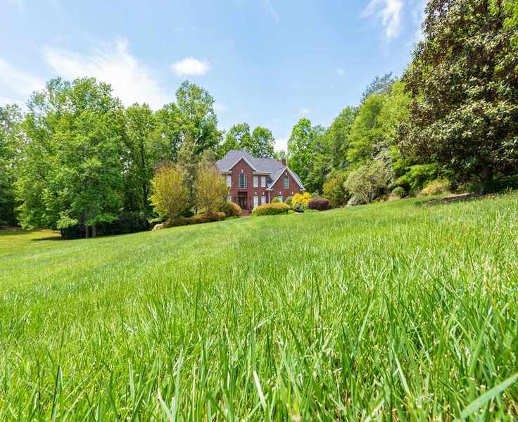 tall fescue with house in background