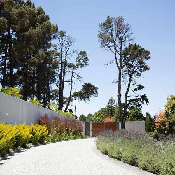 Plants along cobblestone driveway