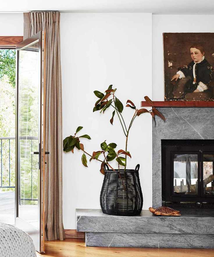 A neutral-toned living room with a large house plant