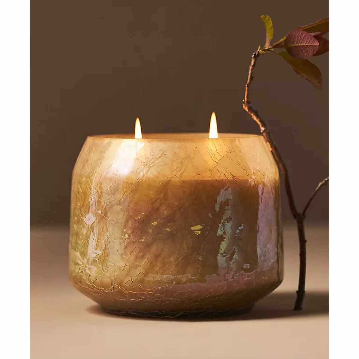 A large two wick candle in mottled beige glass jar. Lit. A dried stem leaning against the side