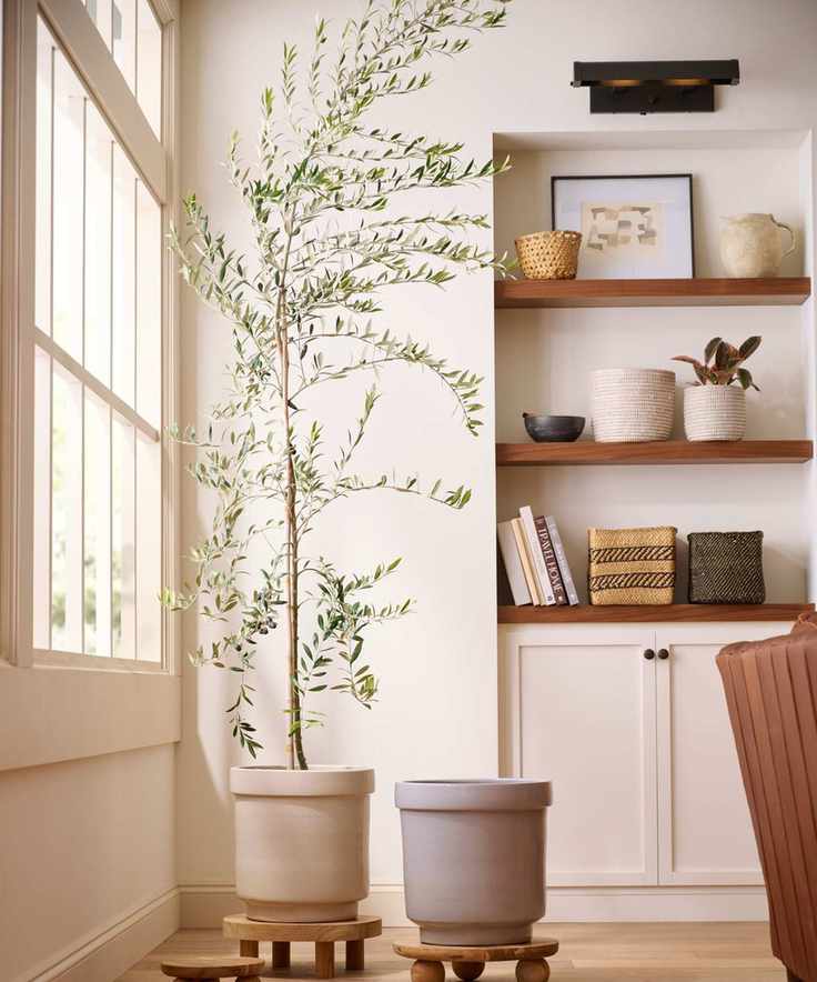 neutral living room corner with houseplant