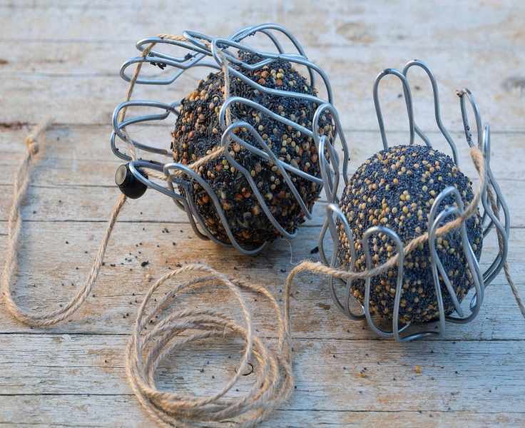 fat balls for birds