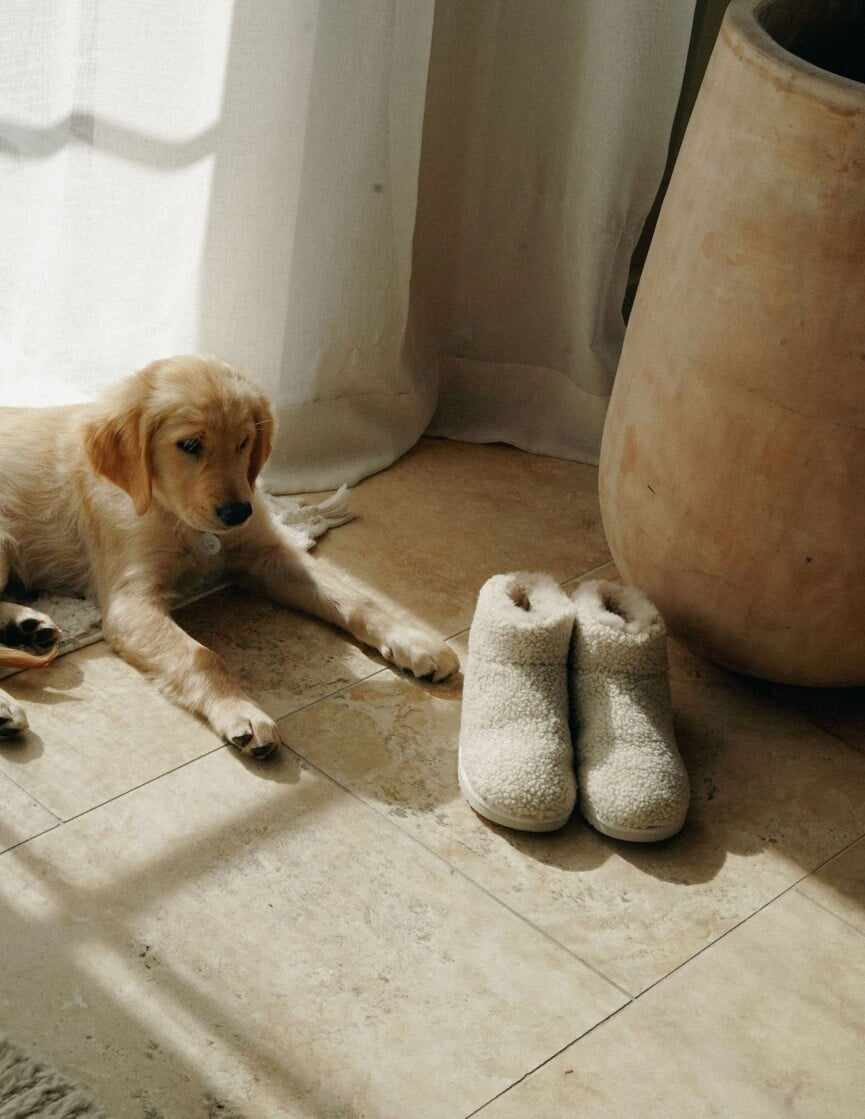 Dog sherpa booties