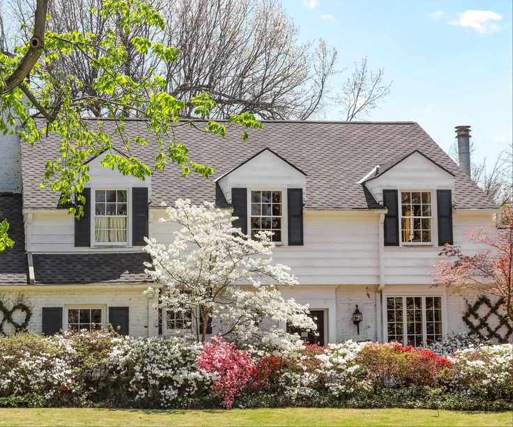 dogwood tree in front yard