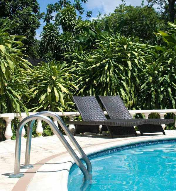 pool with loungers and pool steps
