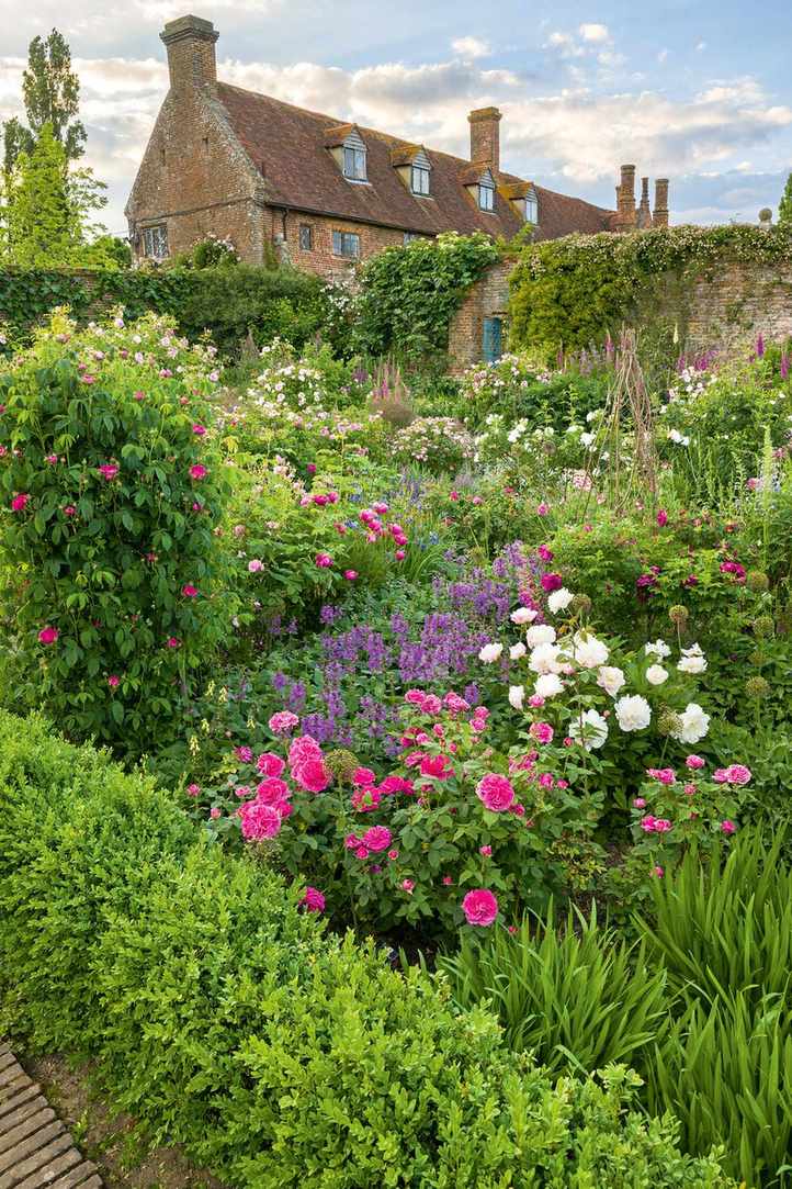 Mastering rose pruning: the gardens at Sissinghurst in Kent filled with beautiful roses