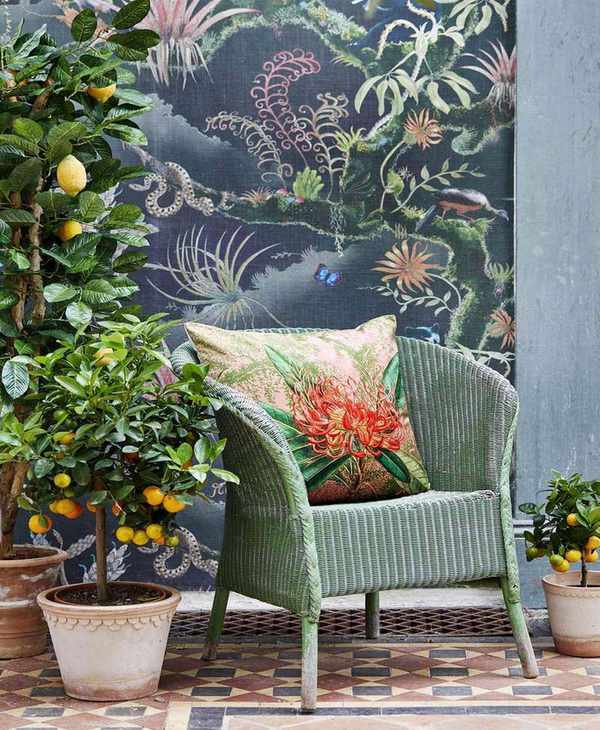 Dwarf citrus trees used as houseplants in period glasshouse