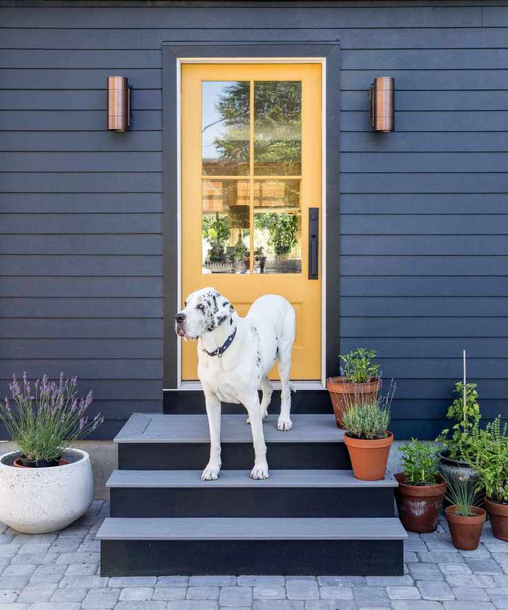 Bright yellow front door