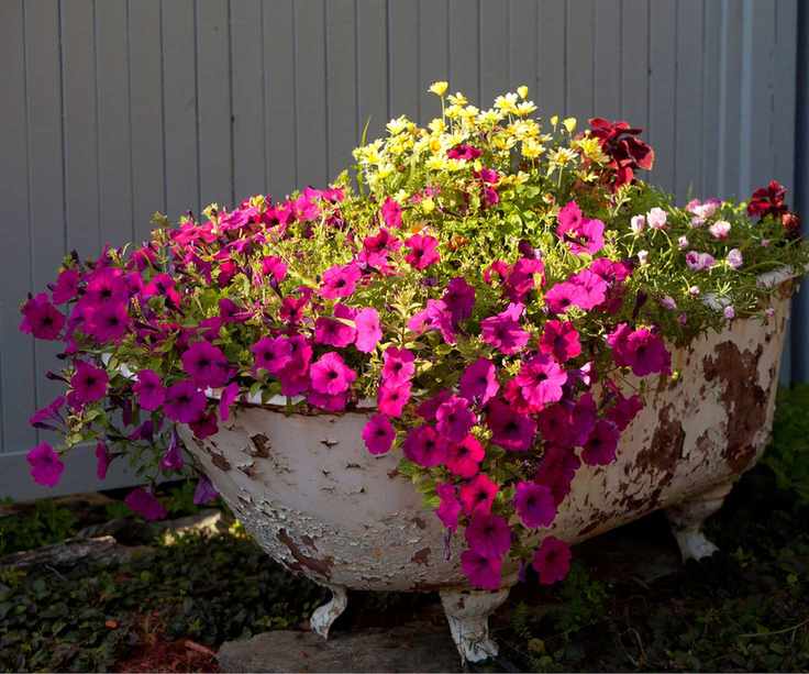 Bathtub florals