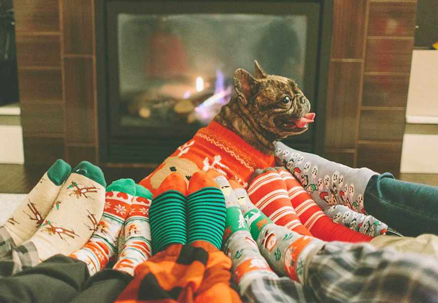 Top 3 Holiday Deals on Gifts for Your Beloved Pets