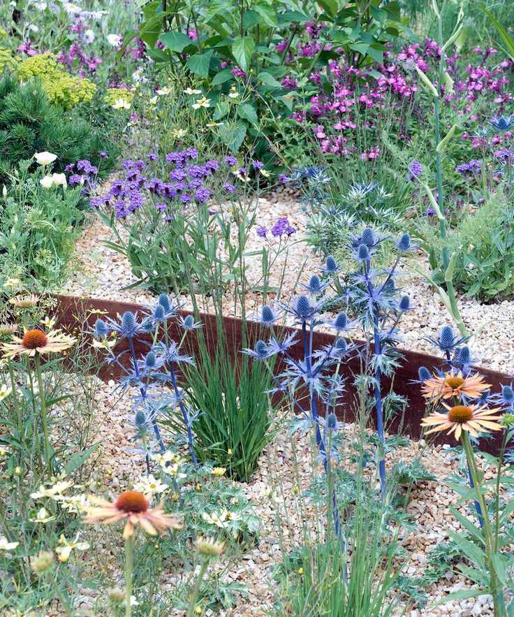 gravel garden planted with drought-tolerant plants
