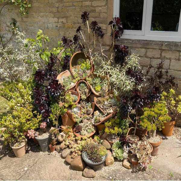 Broken pot succulent display