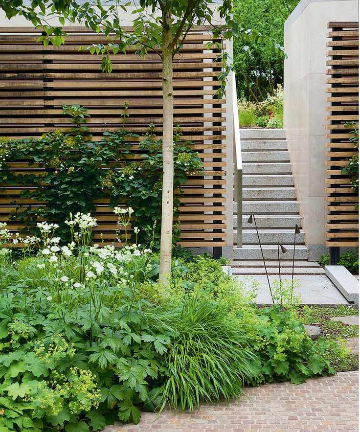 Modern garden with slatted fence panels