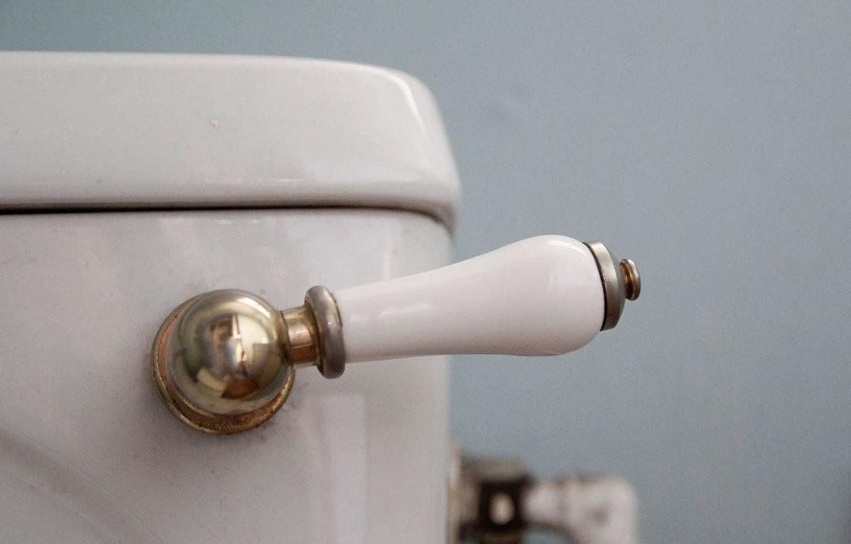 5 Common Reasons Your Toilet Won't Flush and Quick Fixes